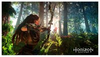 Игра для PlayStation 4 Horizon Zero Dawn