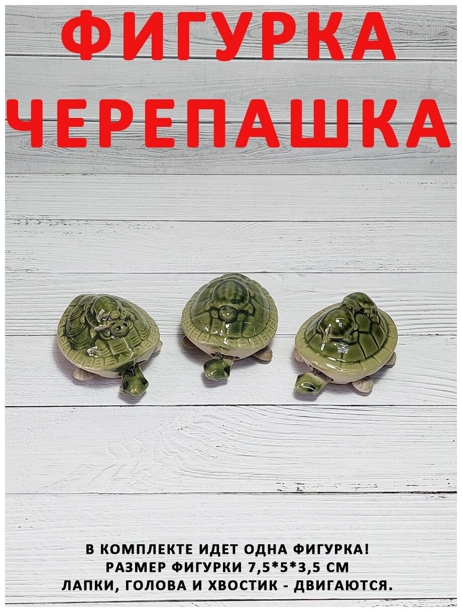 фото Фигурка керамическая черепаха черепашка