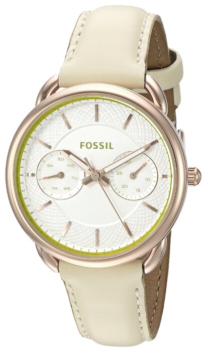 Наручные часы Fossil ES3954