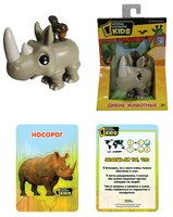 1 TOY National Geographic Дикие животные Т55905