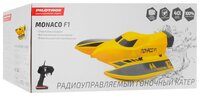 Катер Pilotage Monaco F1 (RC13631) 42 см желтый/черный