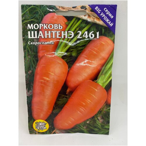 Семена Морковь Шантенэ 2461 8г/1шт