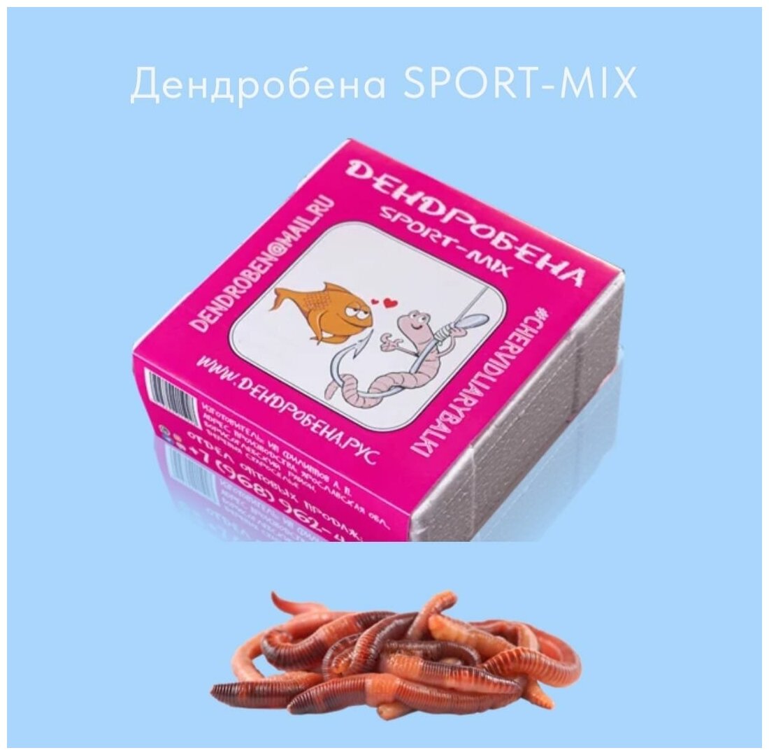 Червь дендробена Венета живой для рыбалки размер SPORT-MIX. (длина червя: до 10 см, диаметр 1-2 мм, вес от 1 до 1,5 грамм.). 25 грамм х 40 шт.