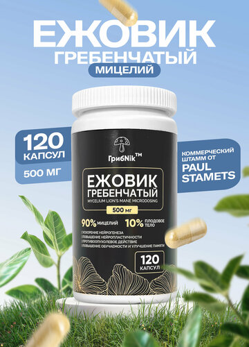 Ежовик гребенчатый: экстракт, мицелий и плодовые тела. В чем разница? — Михаил Грибоедов на elenamypsycholog.ru