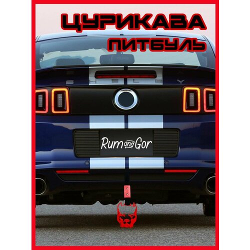 Цурикава Питбуль красного цвета