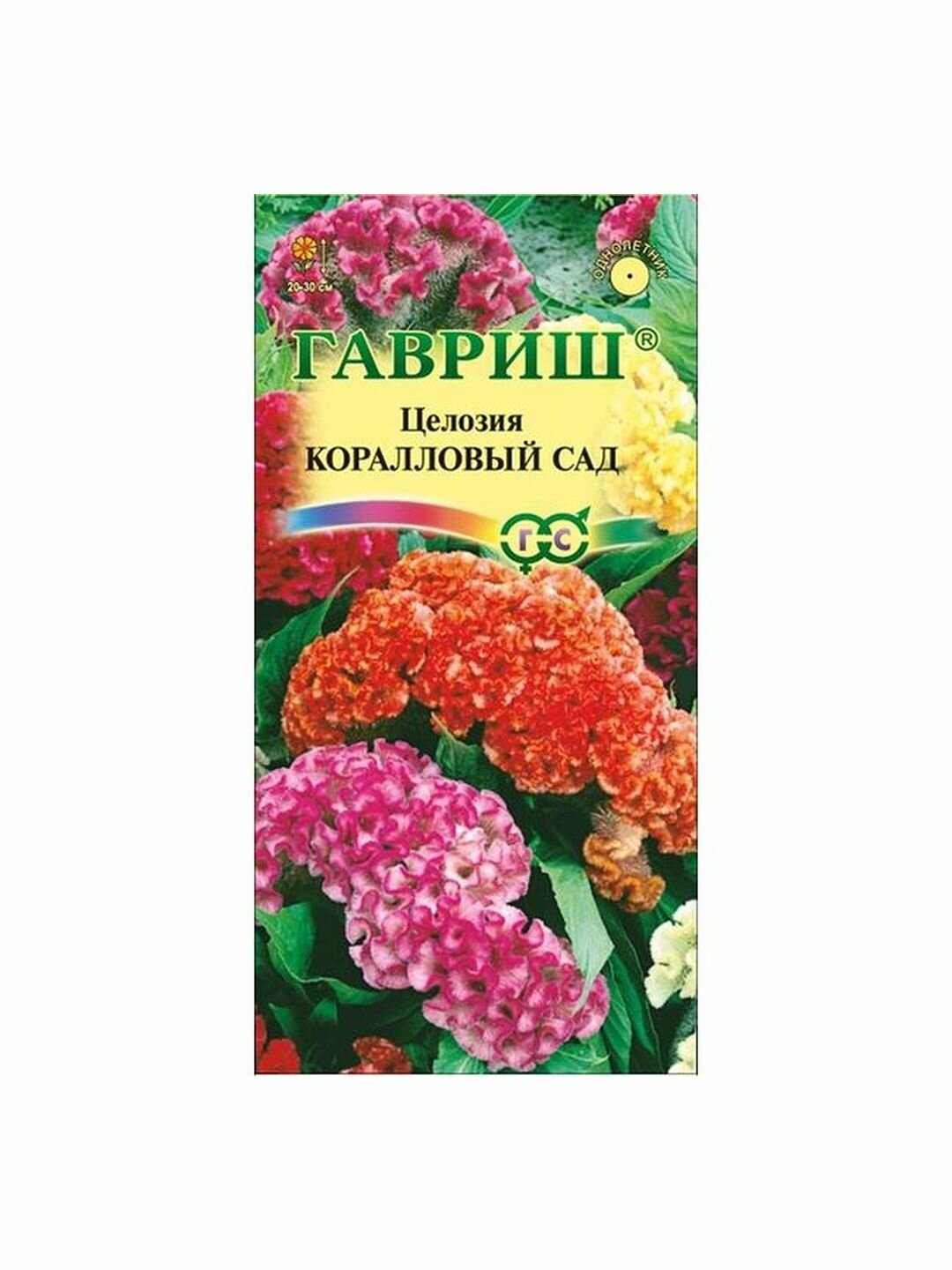 Семена Целозия Коралловый сад гребенчатая однолетник Гавриш 1 пачка - 0.2г семян
