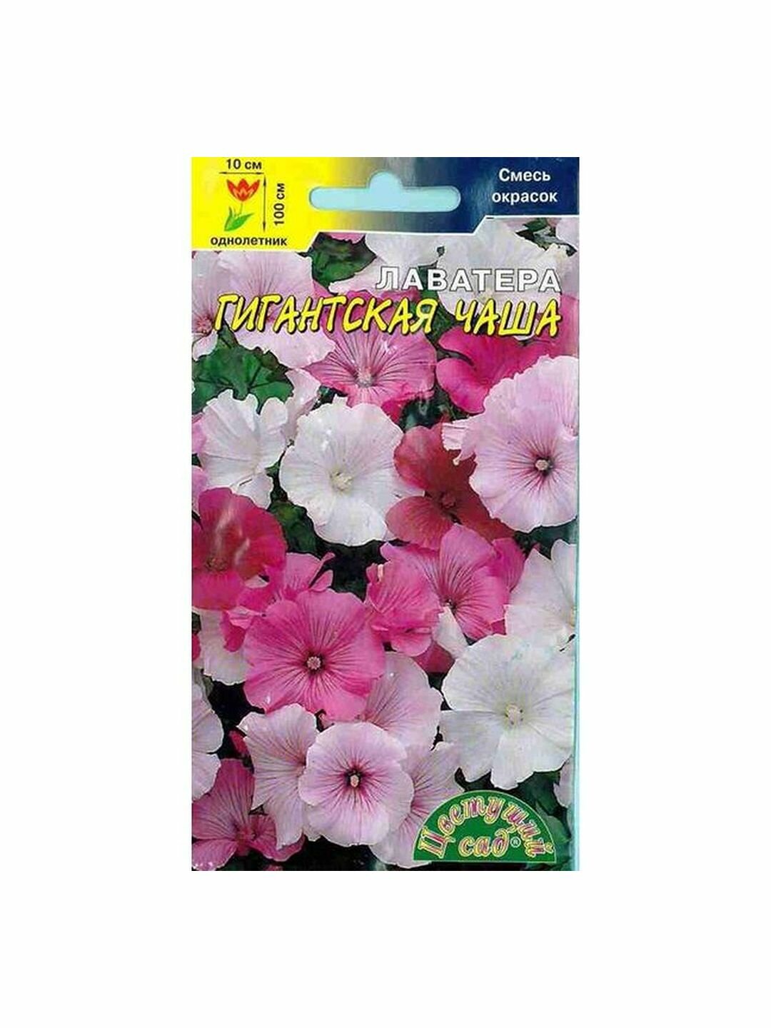 Семена Лаватера Гигантская Чаша смесь однолетник Цветущий Сад 1 пачка - 0.2г семян