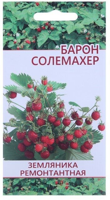 Семена "Растет дома и на даче" Земляника Барон Салемахер 10 шт