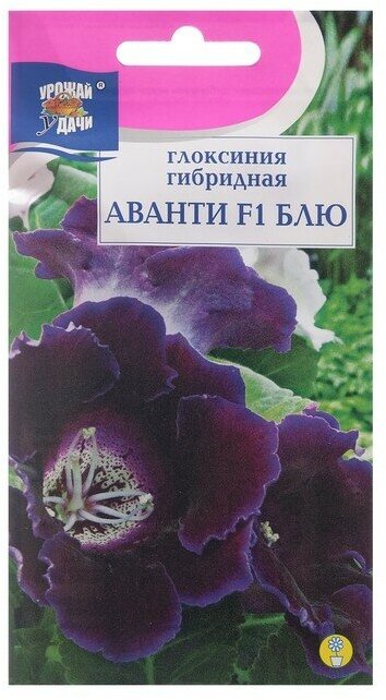 Урожай удачи Семена цветов Глоксиния "Аванти Блю F1", 3 шт. в амп.