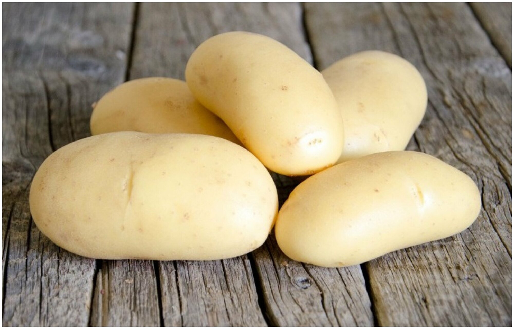 Картофель "Коломбо" 2 кг в сетке, высокоурожайный, с мелкими глазками, срок созревания 70-80 дней, идеально подходит для механического способа сборки