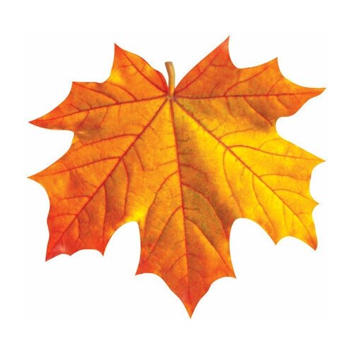 Осенний набор для декора Лист оранжевый №2, набор 10 шт, 25 см.