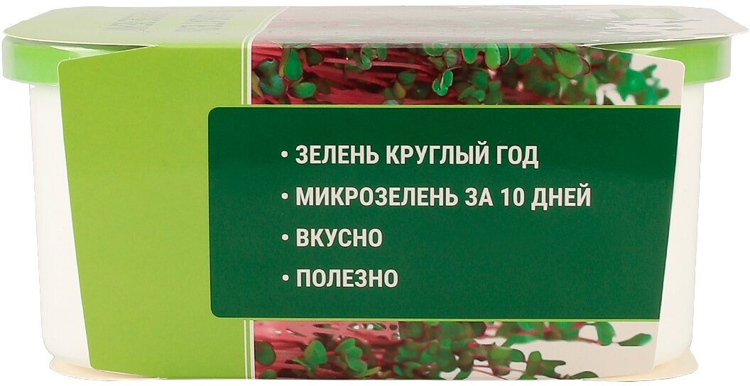 Проращиватель семян для микрозелени с крышкой гидропонный для домашнего выращивания, гидропоника для зелени