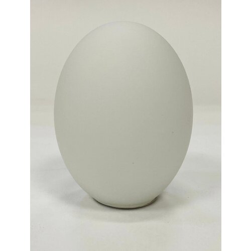 Плафон яйцеобразный овальный стеклянный белый резьба под G9 1700₽