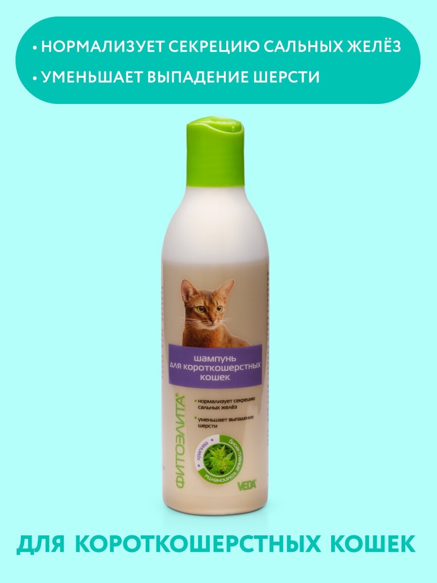 фото Шампунь -шампунь VEDA Фитоэлита для короткошерстных кошек