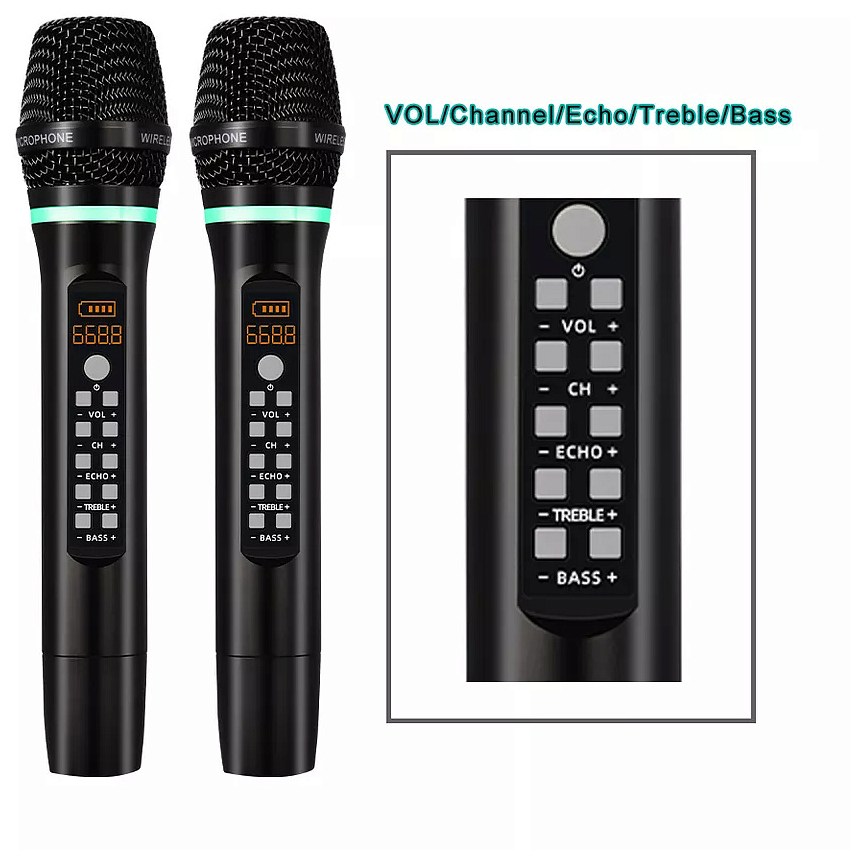 Микшерный пульт с беспроводными микрофонами SkyDisco MIC-WL202 ...