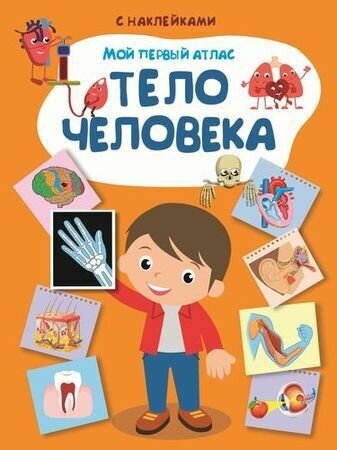 Книга с наклейками Омега Пресс Мой первый атлас, Тело человека (03734-1)