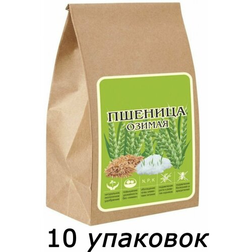 Сидерат органическое удобрение Пшеница озимая, 5кг, 10 пакетов по 500 г, выращиваемое для последующей заделки в почву с целью улучшения ее структуры пшеница озимая лагуна гавриш сидерат 0 5 кг