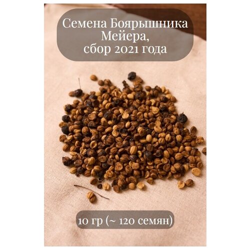 Семена Боярышника Мейера, 10 грамм (примерно 120 шт)