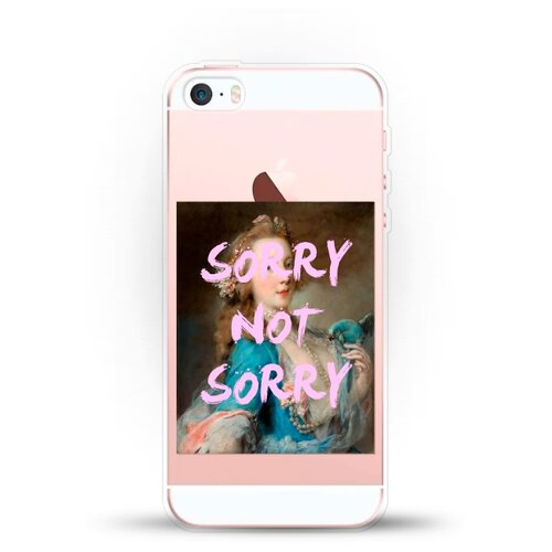 фото Силиконовый чехол sorry на apple iphone 5/5s/se andy & paul
