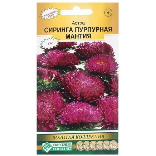 Семена Цветов Астра сиринга Пурпурная мантия, 0,1 г семена цветов астра сиринга синий туман 0 1 г