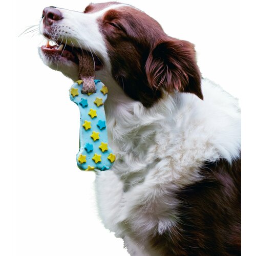 Игрушка для собак Japan Premium Pet эластичная зубочистка из натурального льна и латекса. Рисунок звездочки.