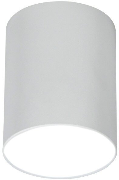 Светильник накладной ritter arton gu10 цилиндр алюминий белый - фотография № 1