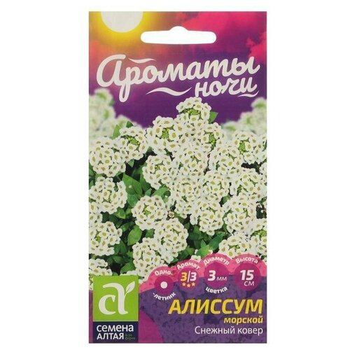 Семена цветов Алиссум Снежный Ковер 0,1 г 10 упаковок семена цветов алиссум снежный ковер 2000 сем 2 подарка