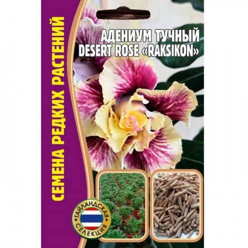 Адениум Тучный DESERT ROSE  RAKSIKON/ Семена Адениум 3 шт./ Семена комнатных цветов и растений.