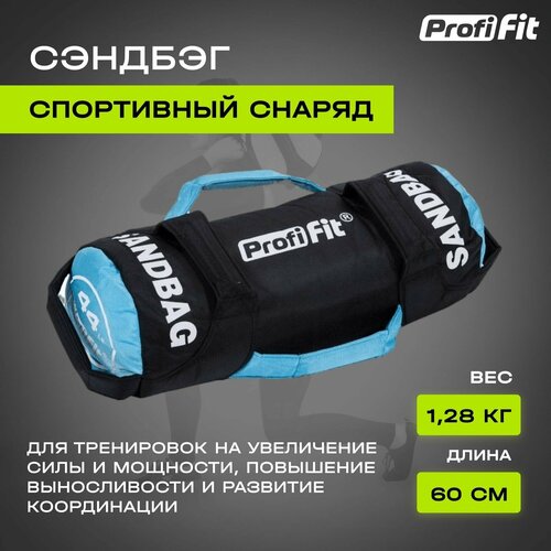 Сумка для Функционального тренинга Sand Bag PROFI-FIT, от 10КГ (20 кг), без наполнителя