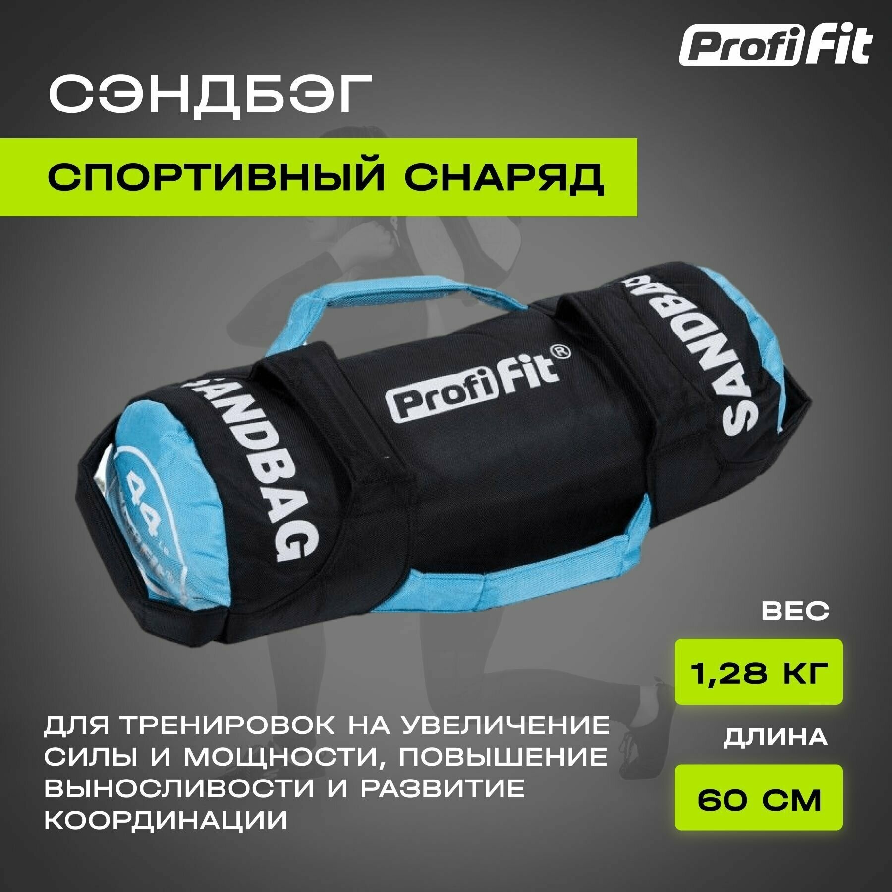 Сумка для Функционального тренинга Sand Bag PROFI-FIT, от 10КГ (20 кг), без наполнителя