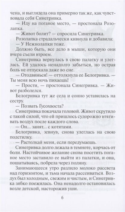 Книга Пророчество Синей Звезды Выбор - фото №6