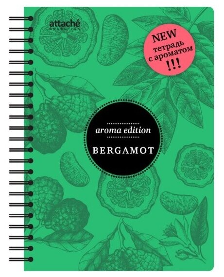 Бизнес-тетрадь Attache Selection ароматизир.100л, кл, А5, бергамот, спир, тонир. блок 84905