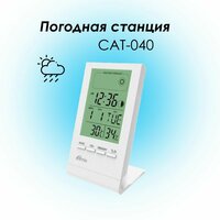 Погодная станция CAT-040 с термометром Ritmix