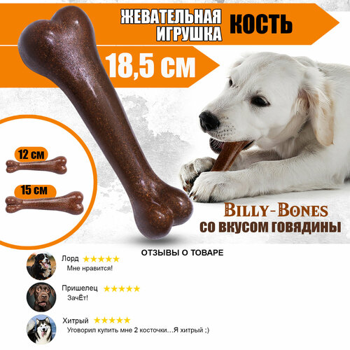 Игрушка кость для собак со вкусом говядины, 18,5 см. Коллекция "BILLY-BONES", Priopetko