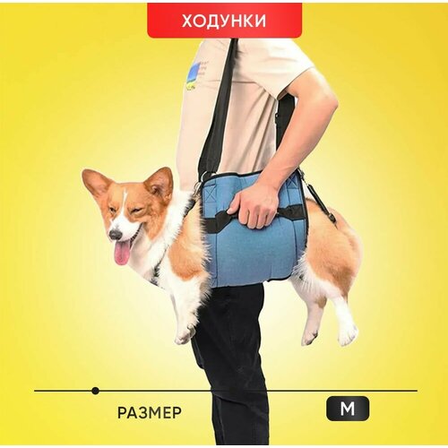 Ходунки, поддержка лап пожилых и травмированных собак. Размер M
