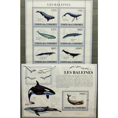 Коморы 2009, Фауна. Киты коморы киты морская фауна 2009 почтовые марки лист блок