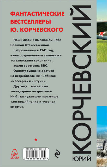 Асы. "Сталинские соколы" из будущего - фото №3