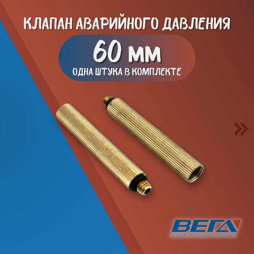 Предохранительный клапан аварийного давления для газовых водонагревателей 60 мм М6х1 предохранительный клапан аварийного давления для газового водонагревателя