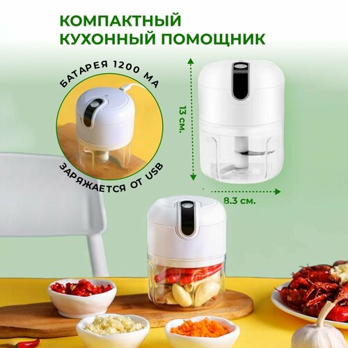 Измельчитель мини-блендер 59900₽