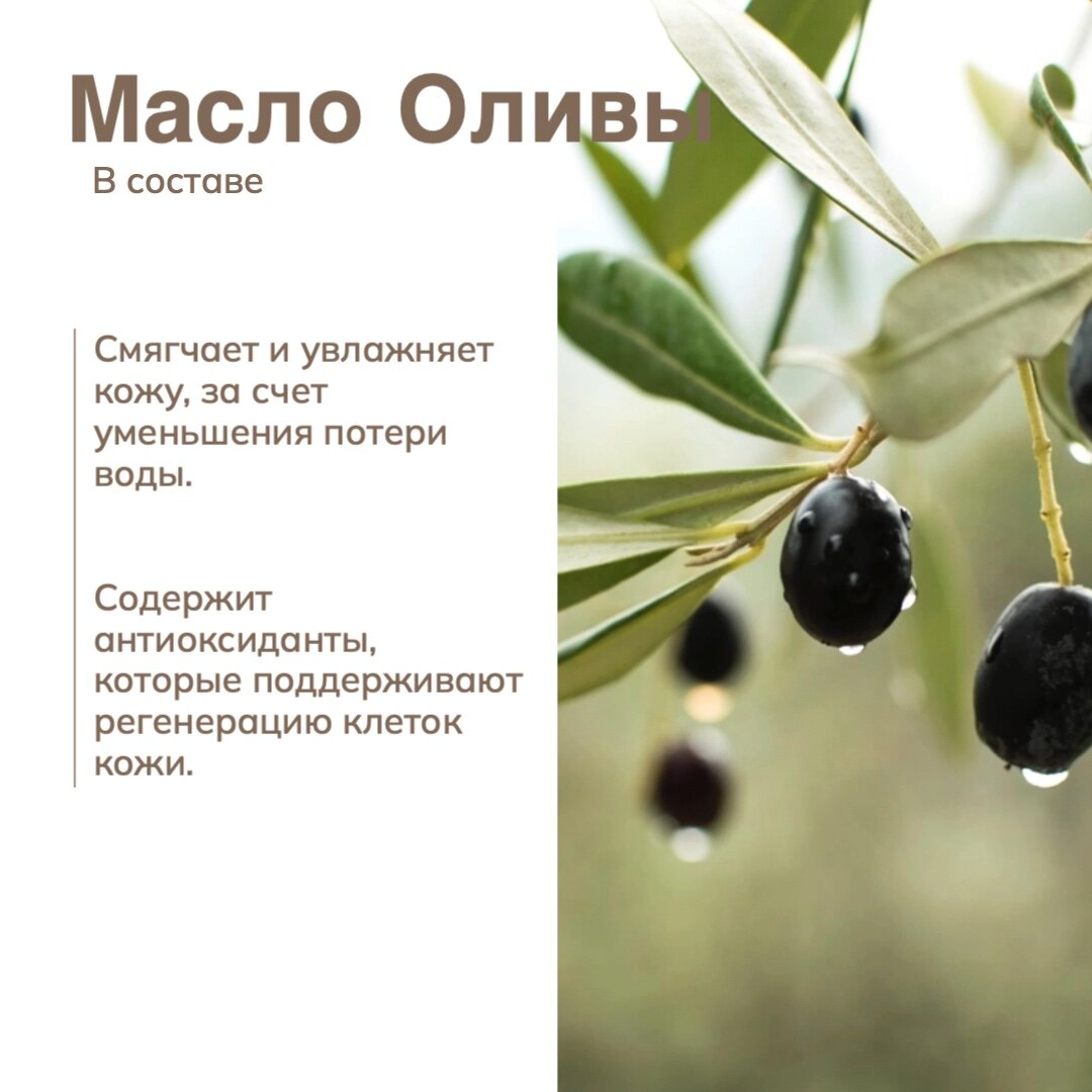 Алеппское натуральное оливковое мыло ALGOTA Сирия, 200 г - 3 штуки — фото 1