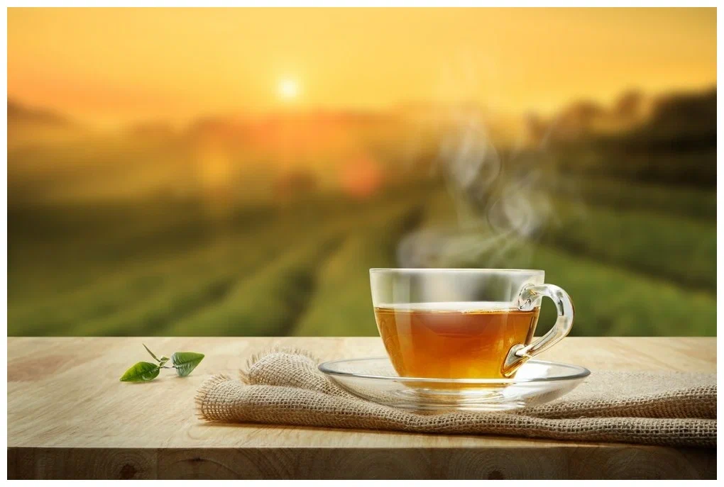 Чай зеленый Гу Шу Tea Green Gushu (Китай) 100г - фотография № 4