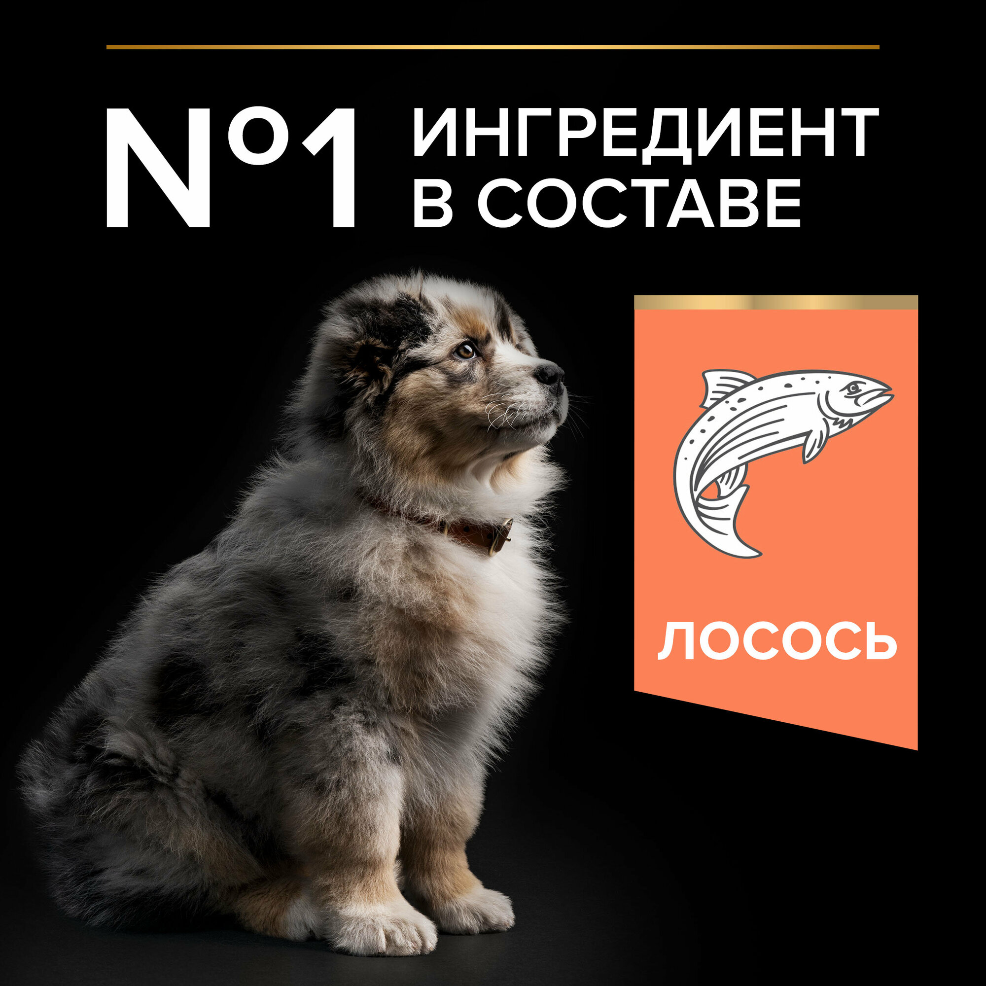 Сухой корм ProPlan для щенков средних пород с чувствительной кожей, лосось и рис, 18кг Purina ProPlan - фото №16