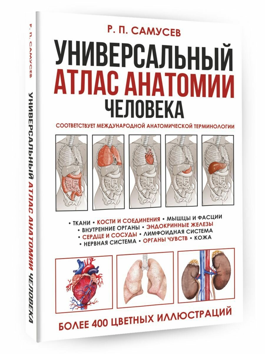 Универсальный атлас анатомии человека с цветными иллюстрациями - фото №6
