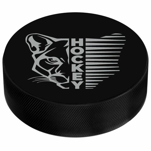 Шайба хоккейная с рисунком, для зимних спортивных игр на льду, взрослая