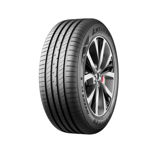 205/55R16 91V Ingens EV TL