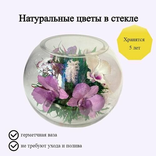 Композиция из натуральных цветов в стекле Fiora 15x165 см 12650₽