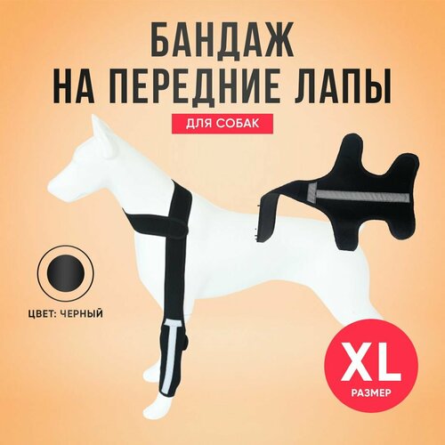 Бандаж для собаки. На лапу. XL