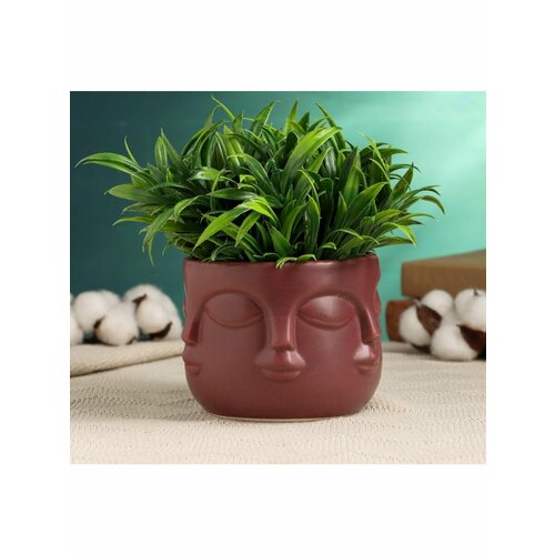 Кашпо Многоликий бордо 12х12х9см 836₽