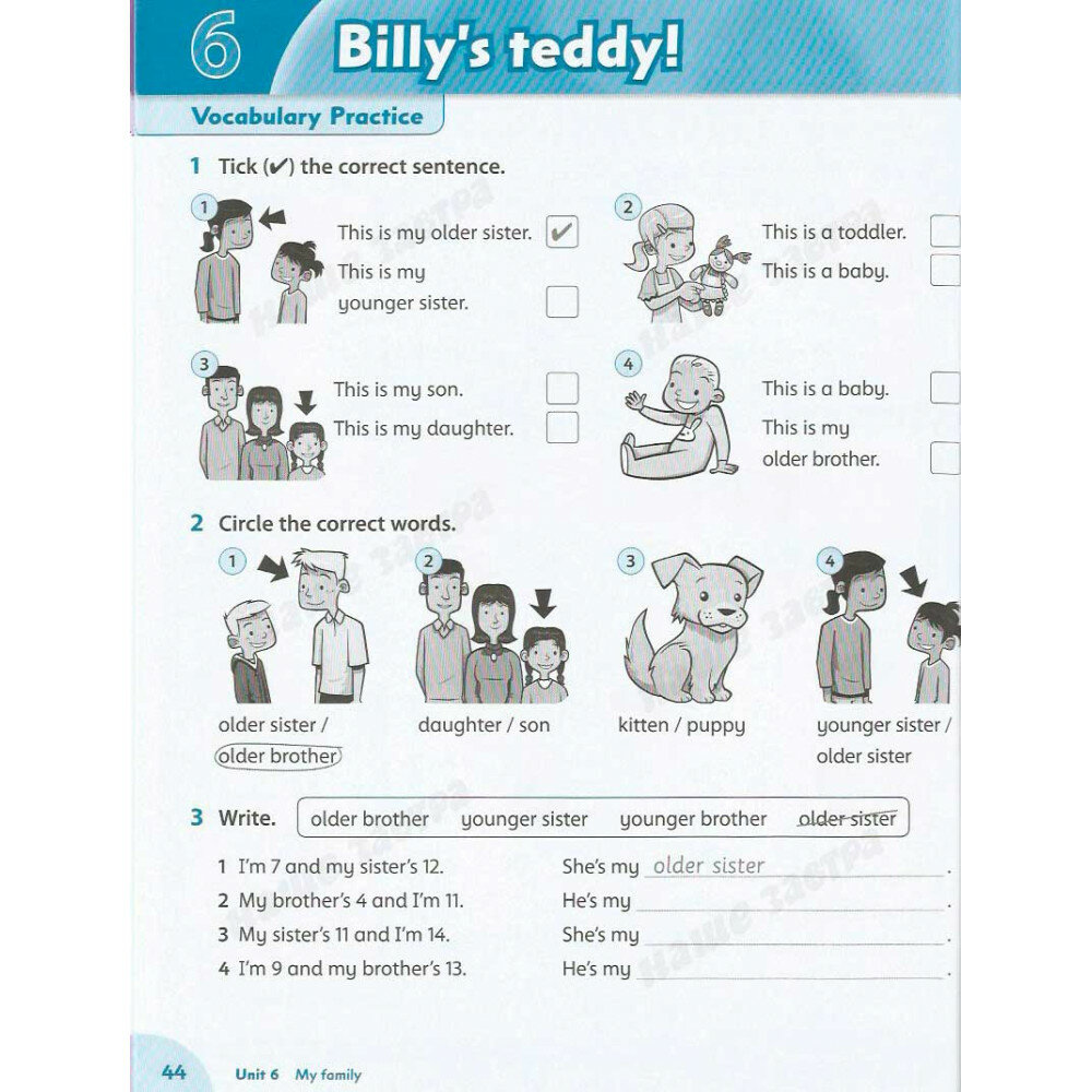 Jessica Finnis "Family and Friends 1. Grammar and Vocabulary Builder" мелованная - фото №17