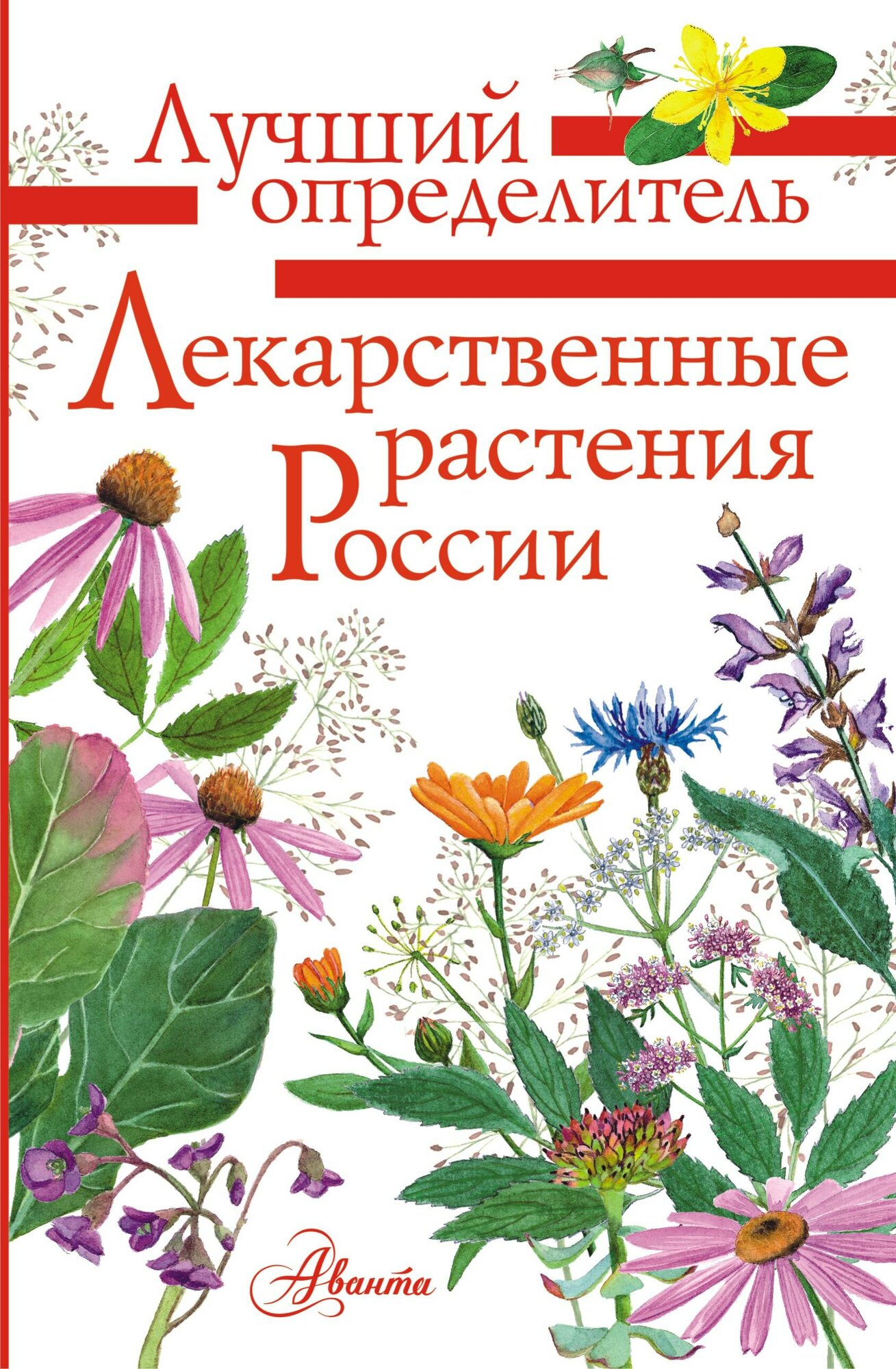 Лекарственные растения России (Филин Алексей Николаевич) - фото №2